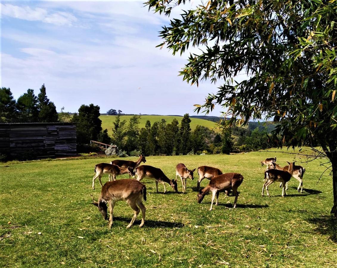 Green Hills Forest Lodge The Crags Экстерьер фото
